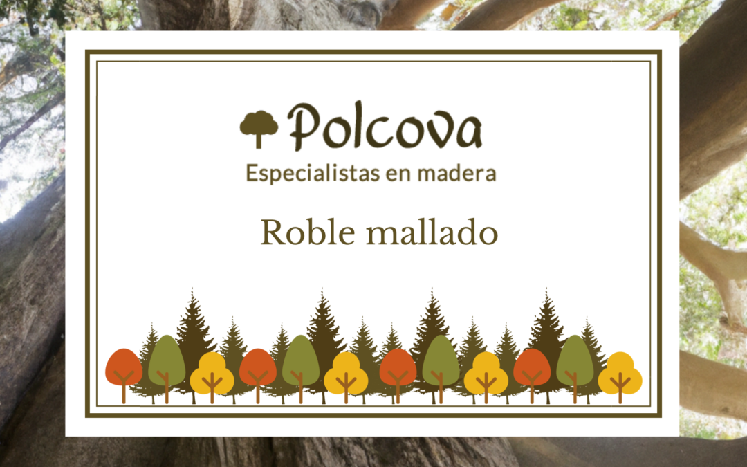 Tableros de roble mallado